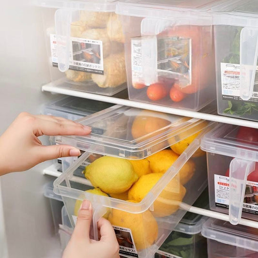 Refrigerator Organizer with Handle