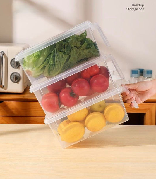 Refrigerator Organizer with Handle