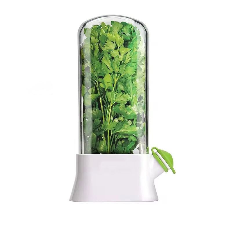 Herb Keeper for Fresh Parsley and Greens